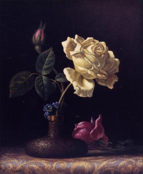 Martin Johnson Heade : The White Rose